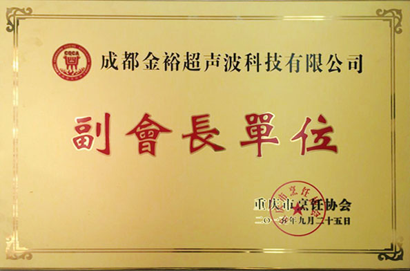 重庆市烹饪协会-副会长单位
